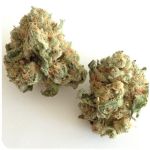 Шишки "White Widow" (Белая вдова) Гидропоника - Бошка VHQ в Алапаевске Шишки "White Widow" (Белая вдова) Гидропоника - Бошка VHQ в Алапаевске