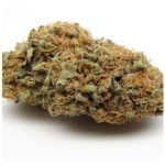 Шишки AK47 (Гидропоника, Бошка) VHQ в Алапаевске Шишки AK47 (Гидропоника, Бошка) VHQ в Алапаевске